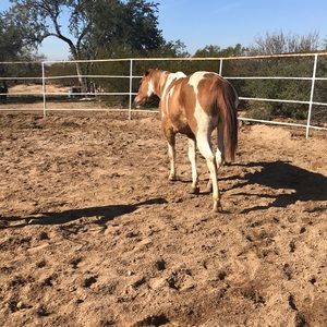 Meet your Posher, Harmony